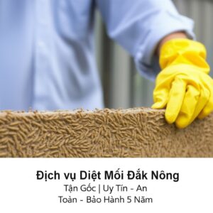 Dịch vụ Diệt Mối Đắk Nông Tận Gốc | Uy Tín – An Toàn – Bảo Hành 5 Năm