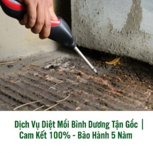 Dịch Vụ Diệt Mối Bình Dương Tận Gốc | Cam Kết 100% – Bảo Hành 5 Năm