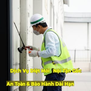 Dịch Vụ Diệt Mối Hà Nội Tận Gốc, An Toàn & Bảo Hành Dài Hạn