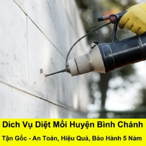 Dịch Vụ Diệt Mối Huyện Bình Chánh Tận Gốc – An Toàn, Hiệu Quả, Bảo Hành 5 Năm