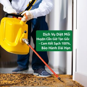 Dịch Vụ Diệt Mối Huyện Cần Giờ Tận Gốc – Cam Kết Sạch 100%, Bảo Hành Dài Hạn