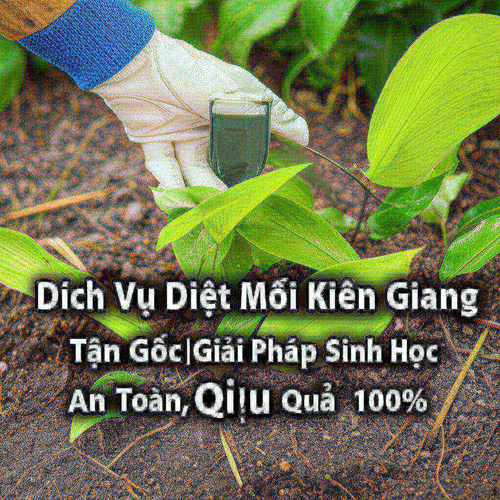 Hình minh họa cho bài viết: Dịch Vụ Diệt Mối Kiên Giang Tận Gốc | Giải Pháp Sinh Học An Toàn, Hiệu Quả 100%