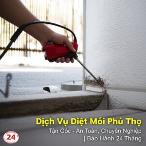 Dịch Vụ Diệt Mối Phú Thọ Tận Gốc – An Toàn, Chuyên Nghiệp | Bảo Hành 24 Tháng