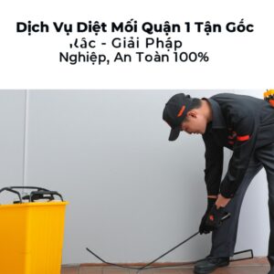 Dịch Vụ Diệt Mối Quận 1 Tận Gốc – Giải Pháp Chuyên Nghiệp, An Toàn 100%