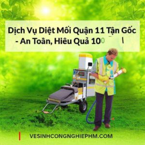 Dịch Vụ Diệt Mối Quận 11 Tận Gốc – An Toàn, Hiệu Quả 100% | VESINHCONGNGHIEPHCM.COM