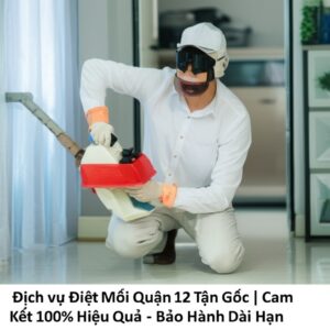 Dịch vụ Diệt Mối Quận 12 Tận Gốc | Cam Kết 100% Hiệu Quả – Bảo Hành Dài Hạn