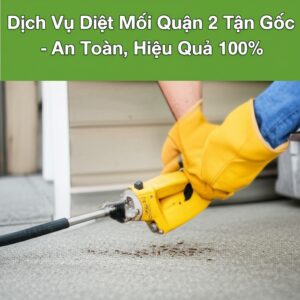Dịch Vụ Diệt Mối Quận 2 Tận Gốc – An Toàn, Hiệu Quả 100%