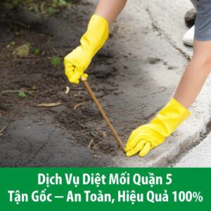 Dịch Vụ Diệt Mối Quận 5 Tận Gốc – An Toàn, Hiệu Quả 100%