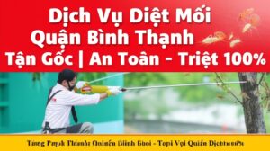 Dịch Vụ Diệt Mối Quận Bình Thạnh Tận Gốc | An Toàn – Triệt Để 100%
