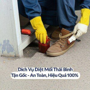 Dịch Vụ Diệt Mối Thái Bình Tận Gốc – An Toàn, Hiệu Quả 100%
