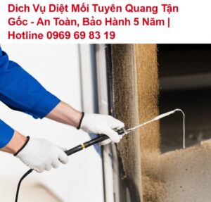 Dịch Vụ Diệt Mối Tuyên Quang Tận Gốc – An Toàn, Bảo Hành 5 Năm | Hotline 0969 69 83 19