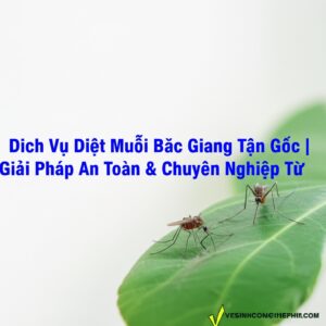 Dịch Vụ Diệt Muỗi Bắc Giang Tận Gốc | Giải Pháp An Toàn & Chuyên Nghiệp Từ VESINHCONGNGHIEPHCM.COM