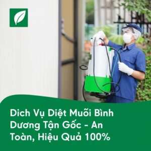 Dịch Vụ Diệt Muỗi Bình Dương Tận Gốc – An Toàn, Hiệu Quả 100%