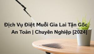 Dịch Vụ Diệt Muỗi Gia Lai Tận Gốc, An Toàn | Chuyên Nghiệp [2024]