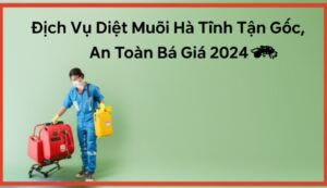 Dịch Vụ Diệt Muỗi Hà Tĩnh Tận Gốc, An Toàn | Báo Giá 2024