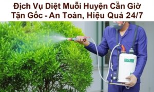 Dịch Vụ Diệt Muỗi Huyện Cần Giờ Tận Gốc – An Toàn, Hiệu Quả 24/7