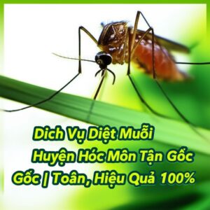 Dịch Vụ Diệt Muỗi Huyện Hóc Môn Tận Gốc | An Toàn, Hiệu Quả 100%