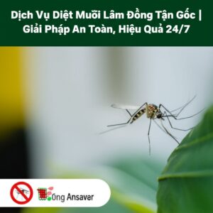 Dịch Vụ Diệt Muỗi Lâm Đồng Tận Gốc | Giải Pháp An Toàn, Hiệu Quả 24/7