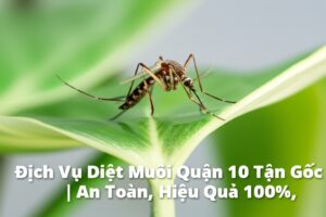 Dịch Vụ Diệt Muỗi Quận 10 Tận Gốc | An Toàn, Hiệu Quả 100%