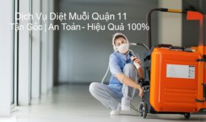 Dịch Vụ Diệt Muỗi Quận 11 Tận Gốc | An Toàn – Hiệu Quả 100%
