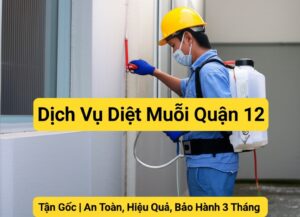 Dịch Vụ Diệt Muỗi Quận 12 Tận Gốc | An Toàn, Hiệu Quả, Bảo Hành 3 Tháng