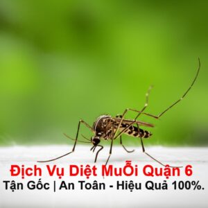 Dịch Vụ Diệt Muỗi Quận 6 Tận Gốc | An Toàn – Hiệu Quả 100%