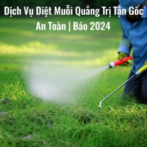 Dịch Vụ Diệt Muỗi Quảng Trị Tận Gốc, An Toàn | Báo Giá 2024
