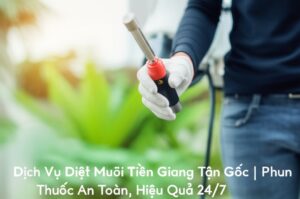 Dịch Vụ Diệt Muỗi Tiền Giang Tận Gốc | Phun Thuốc An Toàn, Hiệu Quả 24/7