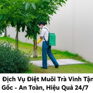 Dịch Vụ Diệt Muỗi Trà Vinh Tận Gốc – An Toàn, Hiệu Quả 24/7