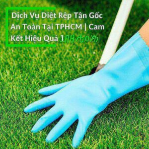 Dịch Vụ Diệt Rệp Tận Gốc, An Toàn Tại TPHCM | Cam Kết Hiệu Quả 100%