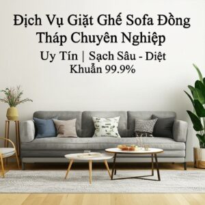 Dịch Vụ Giặt Ghế Sofa Đồng Tháp Chuyên Nghiệp, Uy Tín | Sạch Sâu – Diệt Khuẩn 99.9%