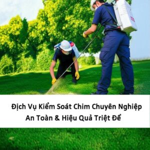Dịch Vụ Kiểm Soát Chim Chuyên Nghiệp, An Toàn & Hiệu Quả Triệt Để