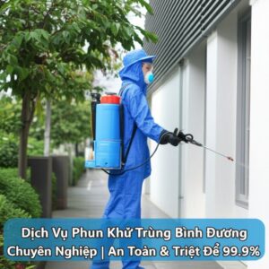 Dịch Vụ Phun Khử Trùng Bình Dương Chuyên Nghiệp | An Toàn & Triệt Để 99.9%