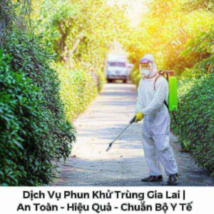 Dịch Vụ Phun Khử Trùng Gia Lai | An Toàn – Hiệu Quả – Chuẩn Bộ Y Tế