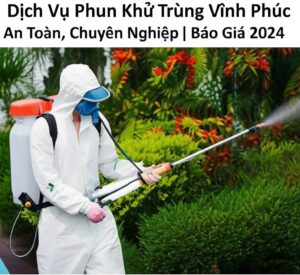 Dịch Vụ Phun Khử Trùng Vĩnh Phúc An Toàn, Chuyên Nghiệp | Báo Giá 2024