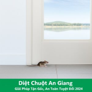Diệt Chuột An Giang: Giải Pháp Tận Gốc, An Toàn Tuyệt Đối 2024