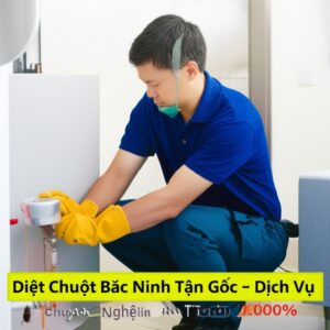 Diệt Chuột Bắc Ninh Tận Gốc – Dịch Vụ Chuyên Nghiệp, An Toàn 100%