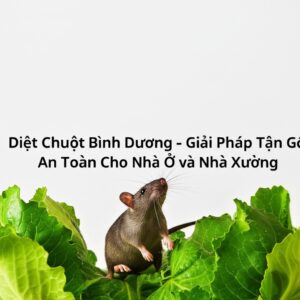 Diệt Chuột Bình Dương – Giải Pháp Tận Gốc, An Toàn Cho Nhà Ở và Nhà Xưởng