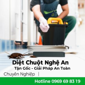 Diệt Chuột Nghệ An Tận Gốc – Giải Pháp An Toàn, Chuyên Nghiệp | Hotline 0969 69 83 19