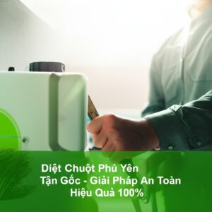 Diệt Chuột Phú Yên Tận Gốc – Giải Pháp An Toàn, Hiệu Quả 100%