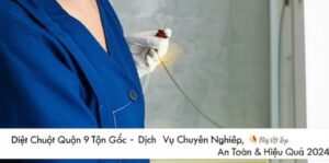 Diệt Chuột Quận 9 Tận Gốc – Dịch Vụ Chuyên Nghiệp, An Toàn & Hiệu Quả 2024