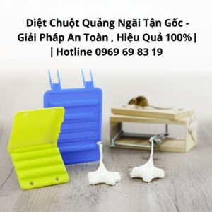 Diệt Chuột Quảng Ngãi Tận Gốc – Giải Pháp An Toàn, Hiệu Quả 100% | Hotline 0969 69 83 19