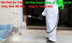 Diệt Chuột Sóc Trăng: Giải Pháp Chuyên Nghiệp, An Toàn Tuyệt Đối – Đừng Đánh Đổi Mạng Sống Với Bẫy Điện!