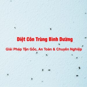 Diệt Côn Trùng Bình Dương: Giải Pháp Tận Gốc, An Toàn & Chuyên Nghiệp