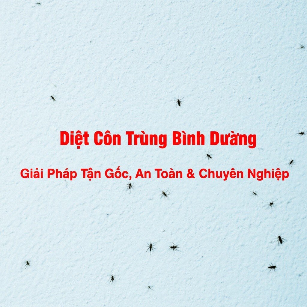 Hình minh họa cho bài viết: Diệt Côn Trùng Bình Dương: Giải Pháp Tận Gốc, An Toàn & Chuyên Nghiệp