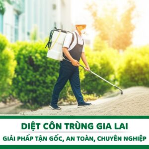Diệt Côn Trùng Gia Lai: Giải Pháp Tận Gốc, An Toàn, Chuyên Nghiệp