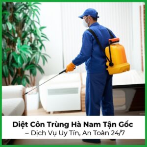Diệt Côn Trùng Hà Nam Tận Gốc – Dịch Vụ Uy Tín, An Toàn 24/7