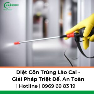 Diệt Côn Trùng Lào Cai – Giải Pháp Triệt Để, An Toàn | Hotline 0969 69 83 19