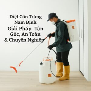 Diệt Côn Trùng Nam Định: Giải Pháp Tận Gốc, An Toàn & Chuyên Nghiệp