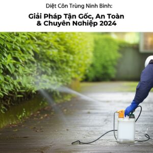 Diệt Côn Trùng Ninh Bình: Giải Pháp Tận Gốc, An Toàn & Chuyên Nghiệp 2024